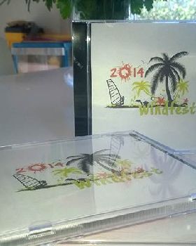 windfest 2014 discs