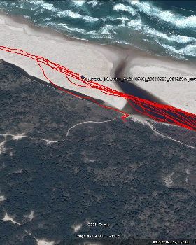 Henty tracks Aug 20 2010