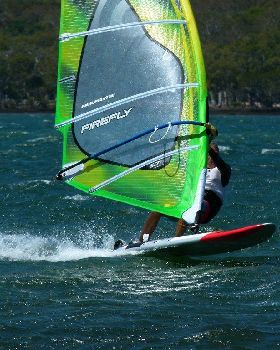 Shearwater, Gold Coast