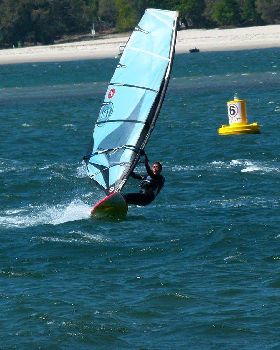 Shearwater, Gold Coast