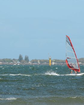 Free Race Sept14