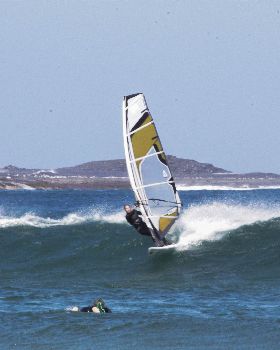 Gerroa23
