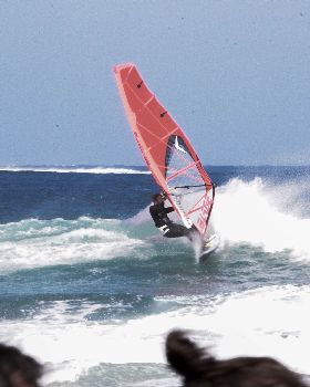 Gerroa32