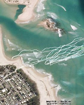 SUP Cotton tree