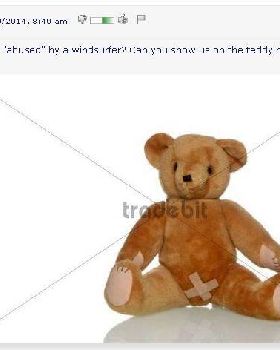 teddy