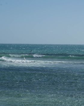 DSC03586