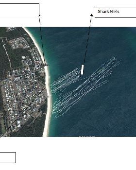 Bribie Tracks