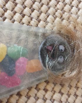 jelly beans
