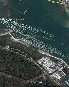 bribie