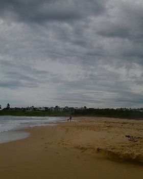 CAM00628