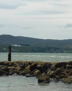 Windy SE