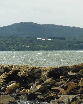 Windy SE