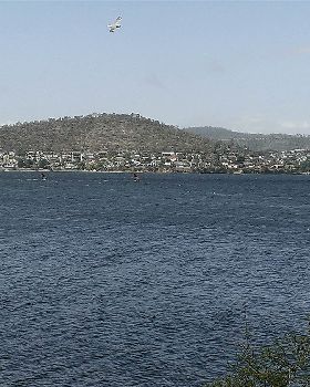 IMAG0607