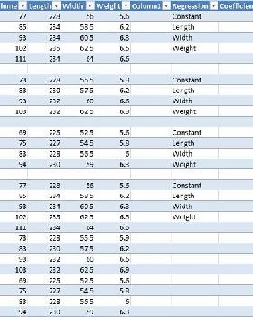 JP Stats