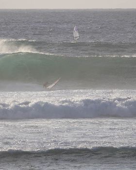 Ripper Ricky