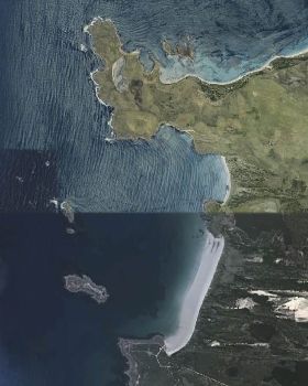petal point map