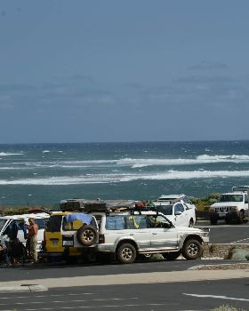 DSC04446