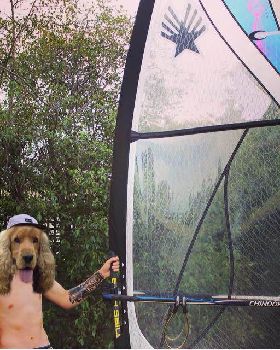 JORDO DOG