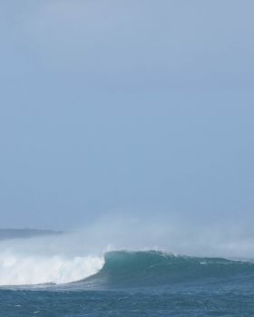 nw tassie