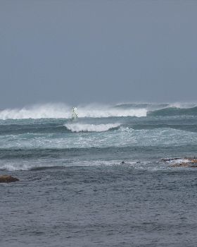 nw tassie