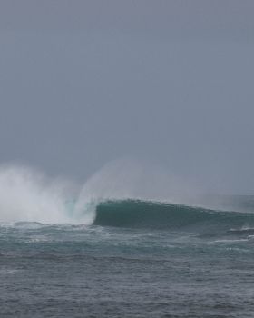 nw tassie