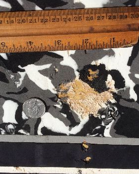 Damaged Deck Pad