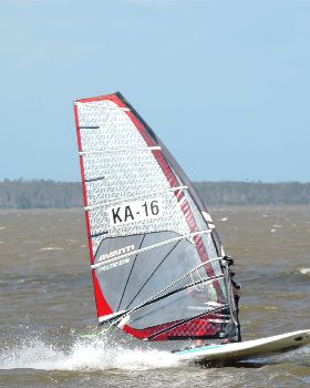 Free Race 4