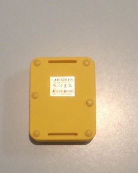 Back view