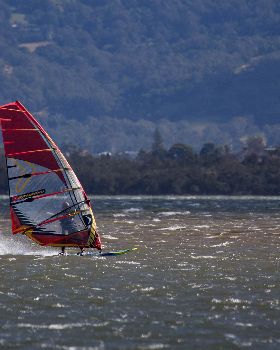 Illawarra-1-6