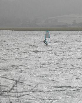 Windy Rosevears