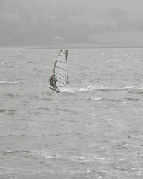 Windy Rosevears