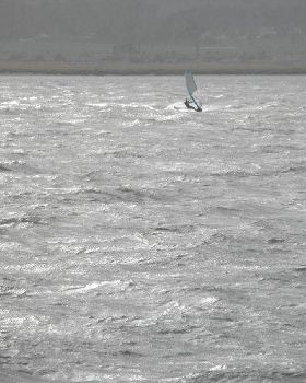 Windy Rosevears