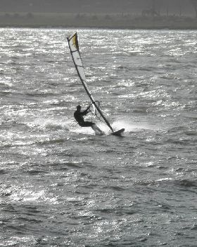 Windy Rosevears