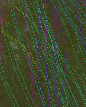 coloured tracks
