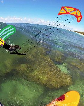 Dog Kitesurfing