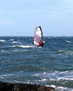 Queens Birthday at Green Pt