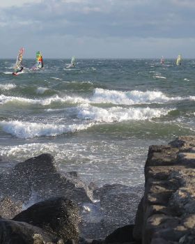 Queens Birthday at Green Pt