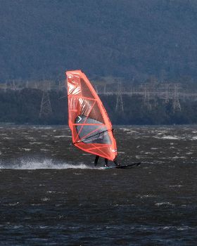 LakeIllawarra-1-19