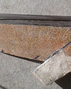 palm stainless carbon weedy