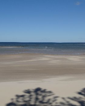 Winter WSW