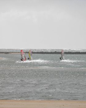 Portsy