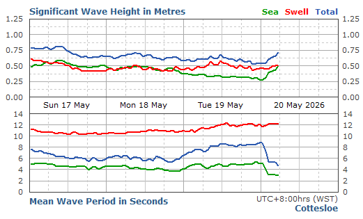 Cottesloe Live Swell Report