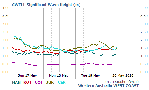 West Coast Live Wave/Swell Report