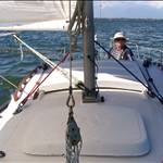 amberg11