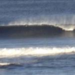 Shacked