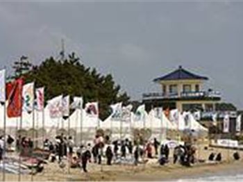The 2008 Ulsan PWA World Cup - Registration Day - Windsurfing News