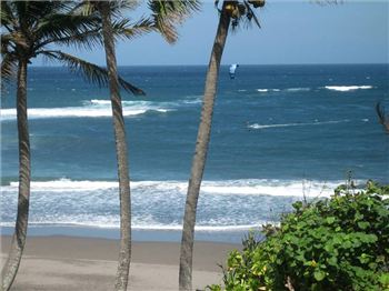 Ben Wilson WAVE CAMP daily updates - Kitesurfing News