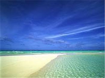 Adopt A Beach - Windsurfing News