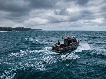 Bass Strait Tuna Run: Warmer 2026 Timing