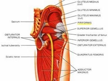 Get your butt in shape - Seriously - Stand Up Paddle News